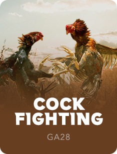 Cock Fighting